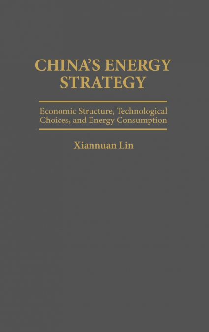 China’s Energy Strategy
