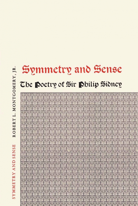 Symmetry and Sense