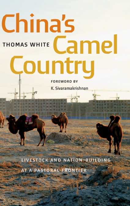 China’s Camel Country