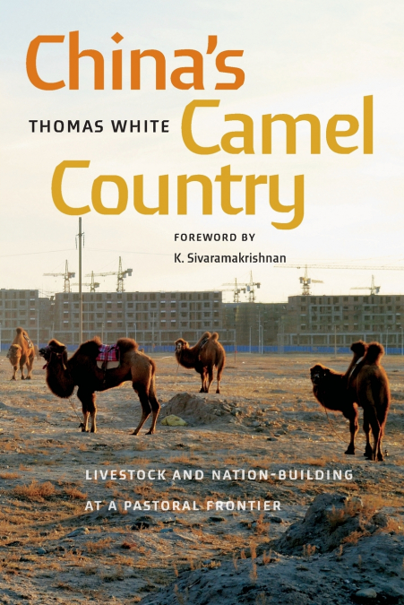 China’s Camel Country