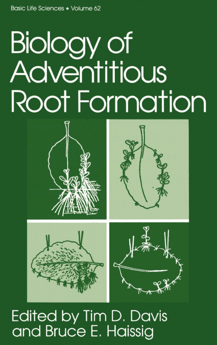 Biology of Adventitious Root Formation