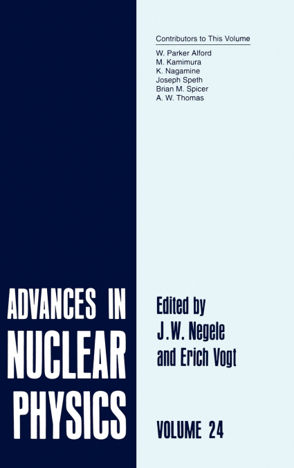Advances in Nuclear Physics