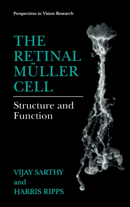 The Retinal Muller Cell