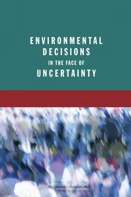 Environmental Decisions in the Face of Uncertainty