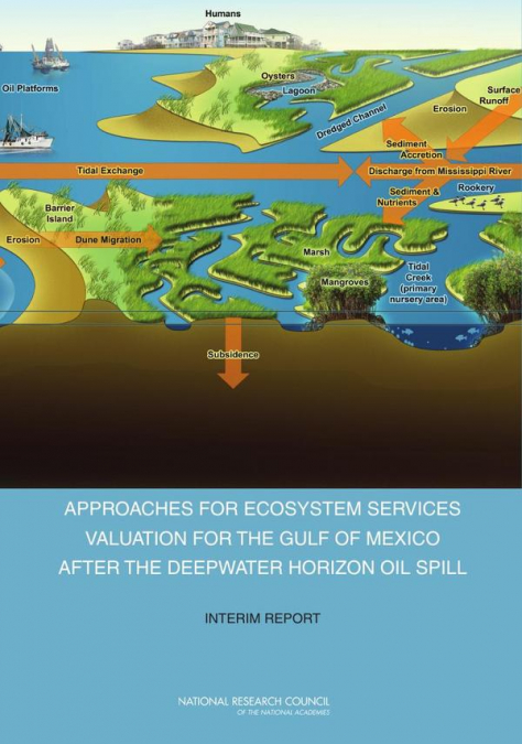 Approaches for Ecosystem Services Valuation for the Gulf of Mexico After the Deepwater Horizon Oil Spill