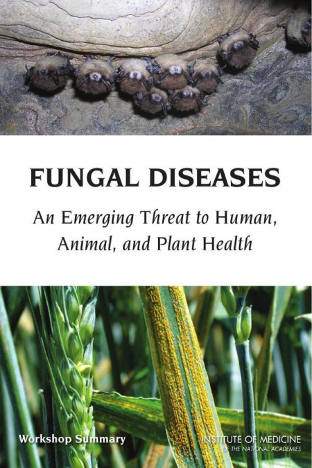 Fungal Diseases