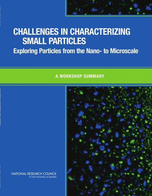 Challenges in Characterizing Small Particles