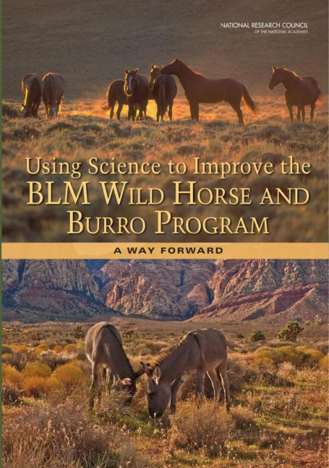 Using Science to Improve the BLM Wild Horse and Burro Program