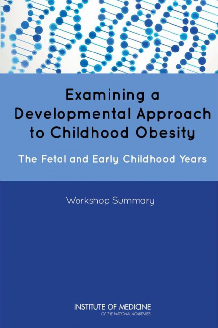 Examining a Developmental Approach to Childhood Obesity