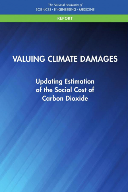 Valuing Climate Damages