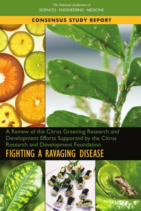 A Review of the Citrus Greening Research and Development Efforts Supported by the Citrus Research and Development Foundation