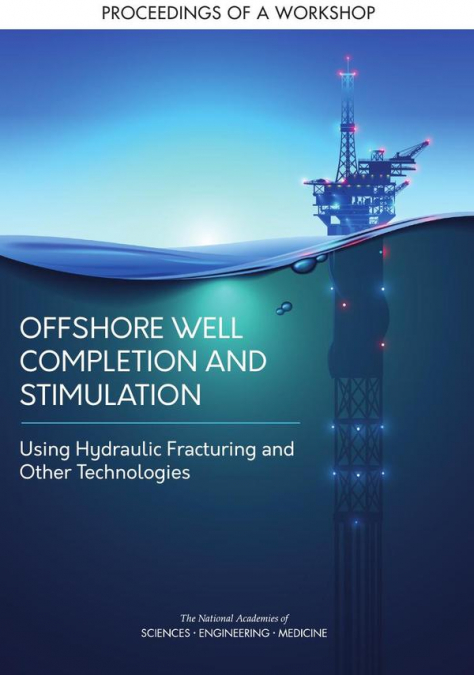 Offshore Well Completion and Stimulation