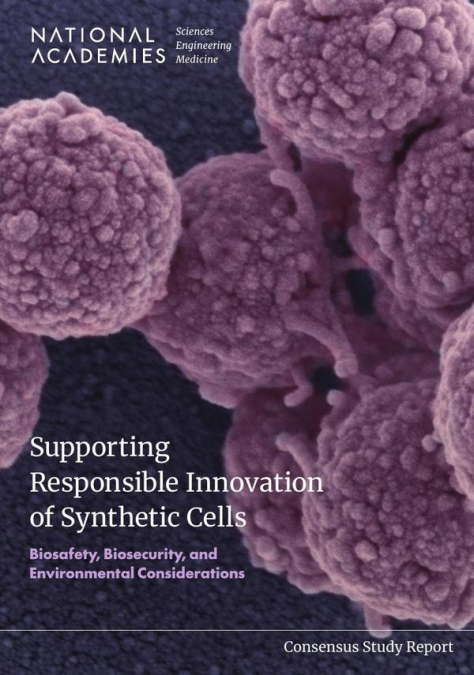 Supporting Responsible Innovation of Synthetic Cells