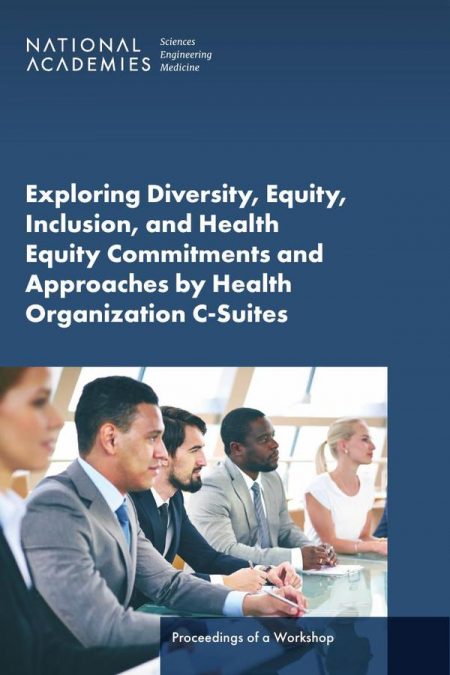 Exploring Diversity, Equity, Inclusion, and Health Equity Commitments and Approaches by Health Organization C-Suites