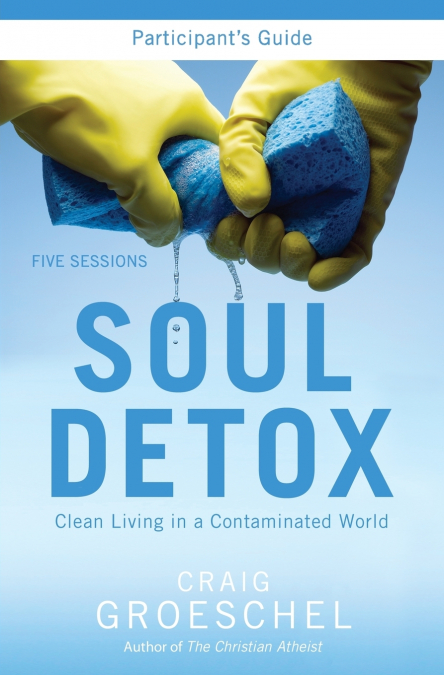 A Soul Detox Bible Study Participant’s Guide