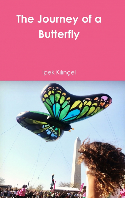 The Journey of a Butterfly