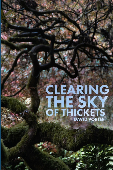 Clearing the Sky of Thickets
