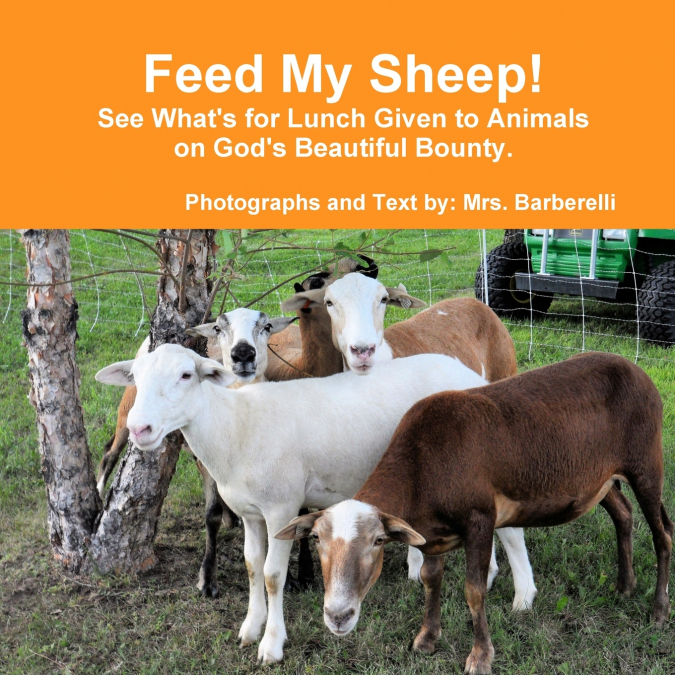 Feed My Sheep! See What’s for Lunch Given to Animals on God’s Beautiful Bounty