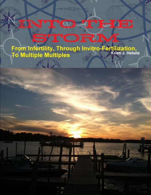 INTO THE STORM  From Infertility, Through Invitro-fertilization, To Multiple Multiples