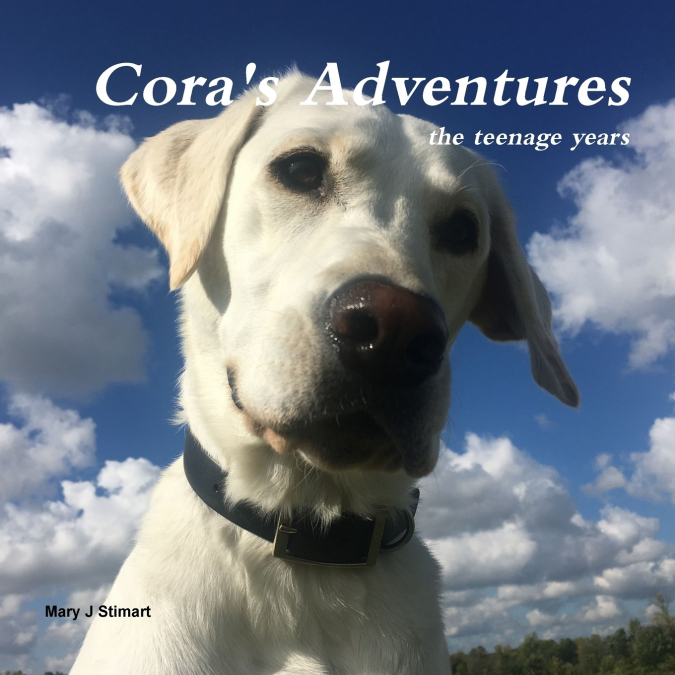 Cora’s Adventures