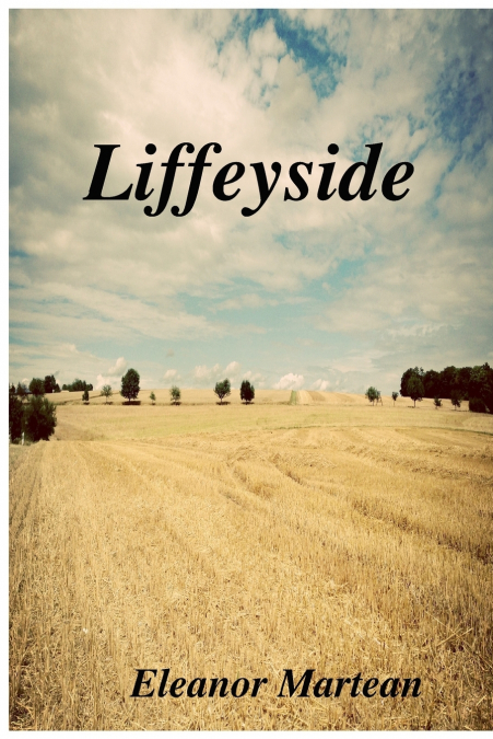 Liffeyside