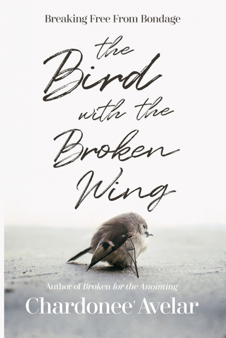 The Bird With the Broken Wing