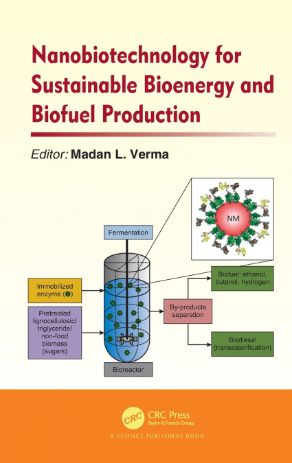Nanobiotechnology for Sustainable Bioenergy and Biofuel Production