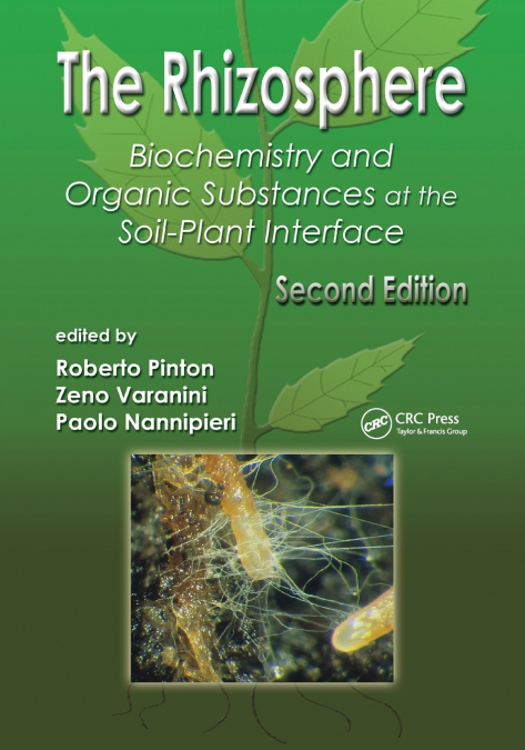 The Rhizosphere