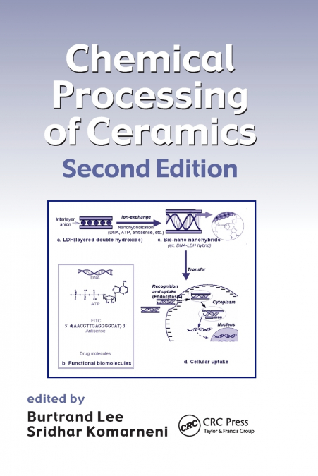 Chemical Processing of Ceramics