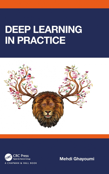 Deep Learning in Practice