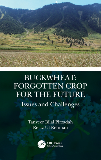 Buckwheat