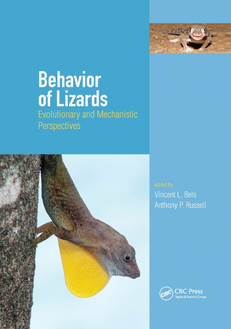 Behavior of Lizards