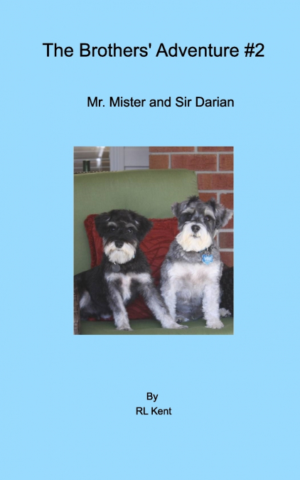 The Brothers’ Adventure #2