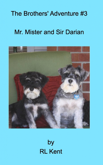 The Brothers’ Adventure #3