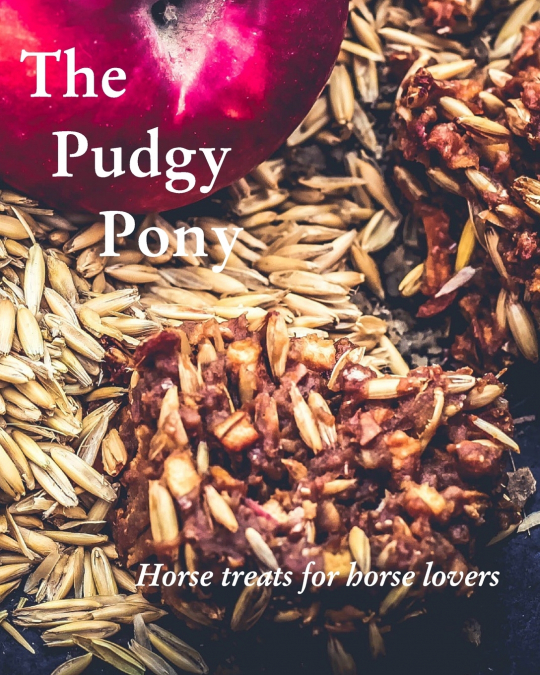 The Pudgy Pony
