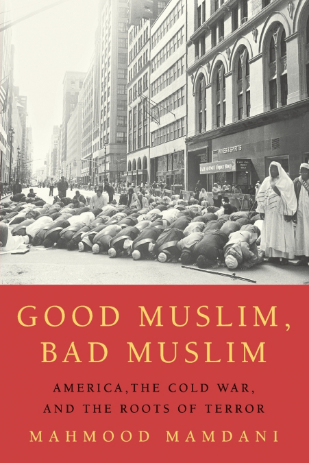 Good Muslim, Bad Muslim