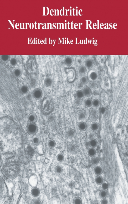 Dendritic Neurotransmitter Release