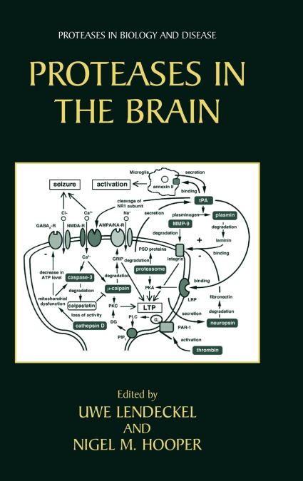 Proteases in the Brain