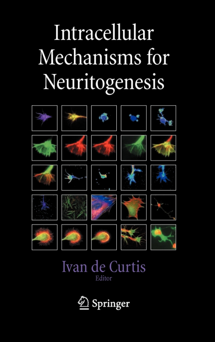 Intracellular Mechanisms for Neuritogenesis