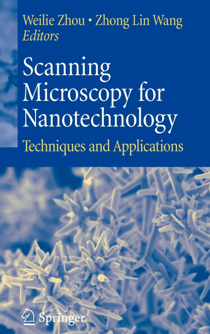 Scanning Microscopy for Nanotechnology
