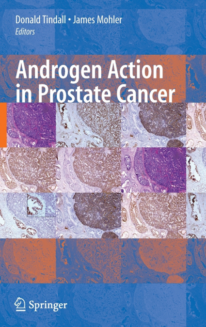 Androgen Action in Prostate Cancer