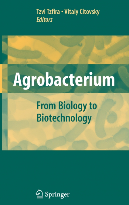 Agrobacterium