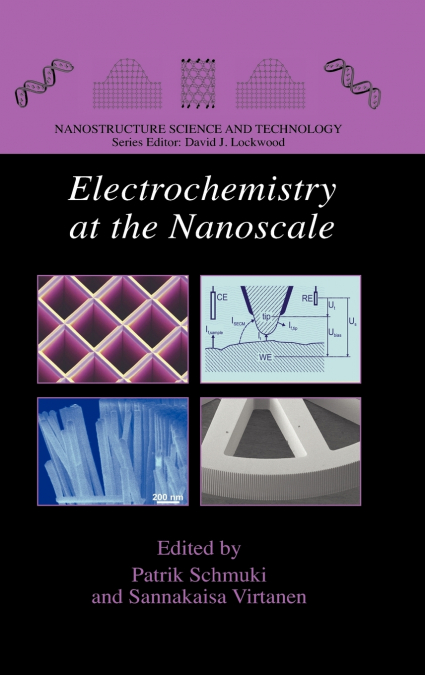 Electrochemistry at the Nanoscale