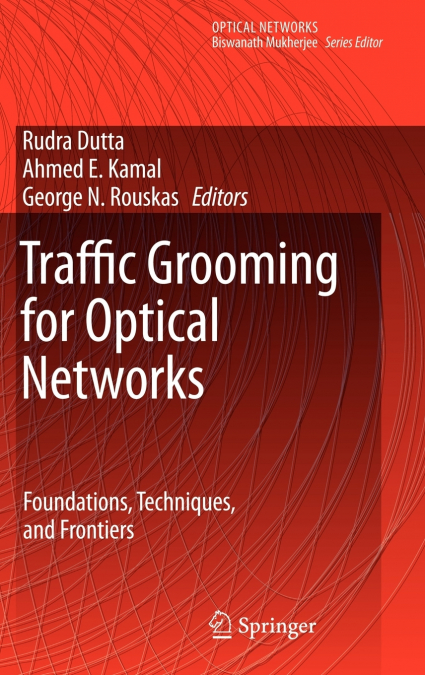 Traffic Grooming for Optical Networks
