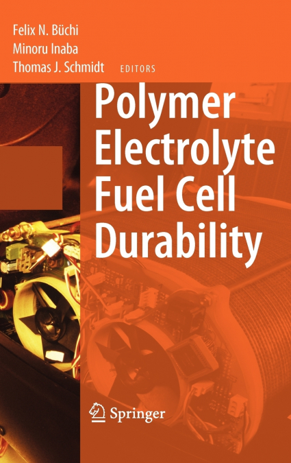 Polymer Electrolyte Fuel Cell Durability