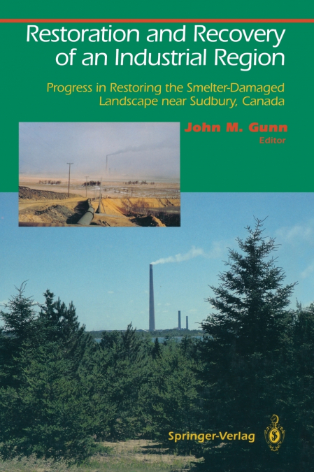 Restoration and Recovery of an Industrial Region