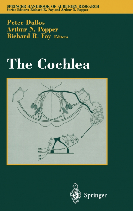 The Cochlea