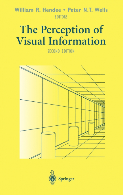 The Perception of Visual Information