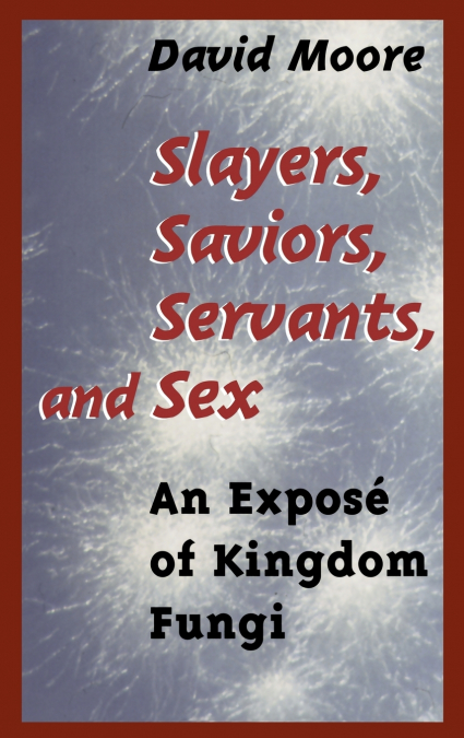 Slayers, Saviors, Servants and Sex