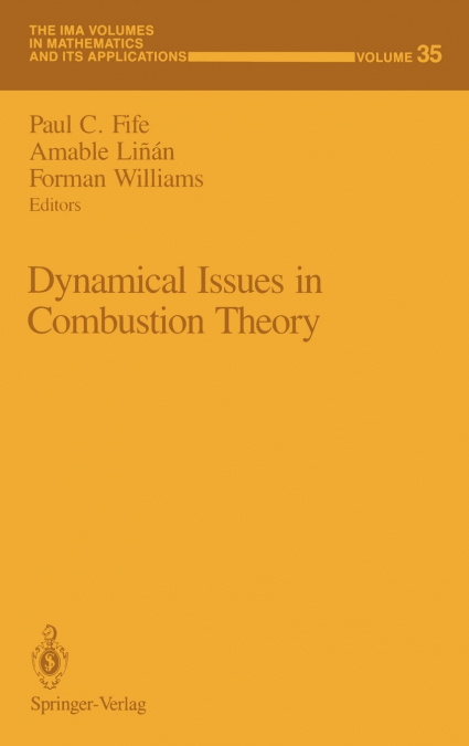 Dynamical Issues in Combustion Theory